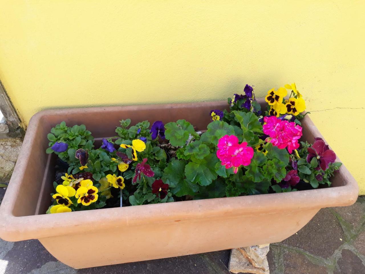 Flowery House Roma Exterior foto